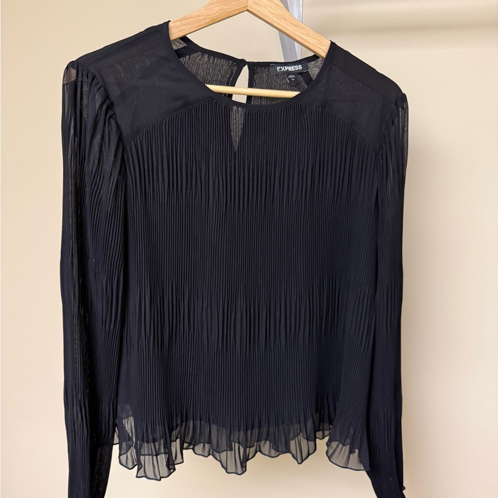 Express Black Sheer Pleated Long Sleeve Blouse Women’s S